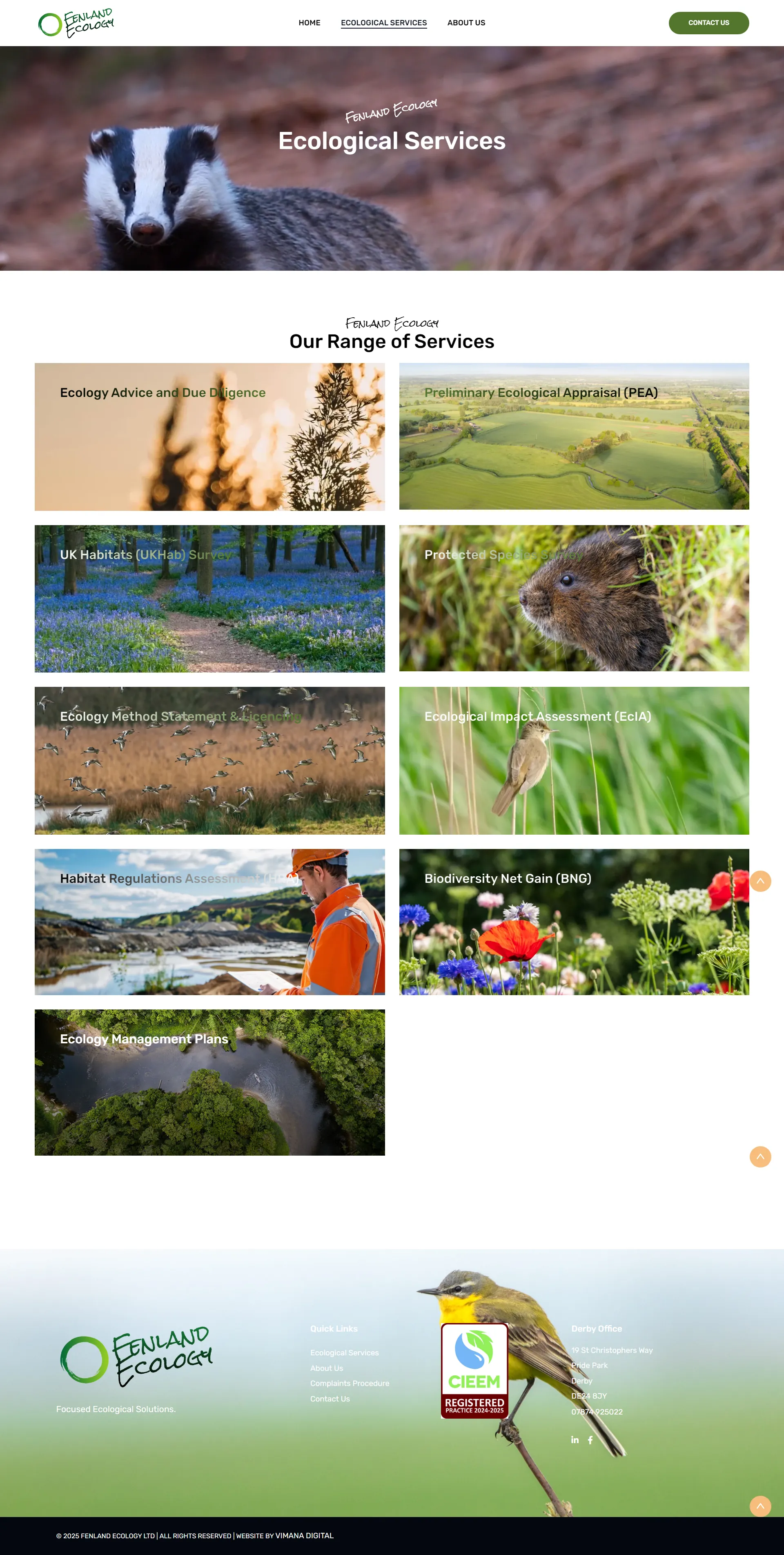 The Rise of Nature Inspired Web Design by Vimana Digital