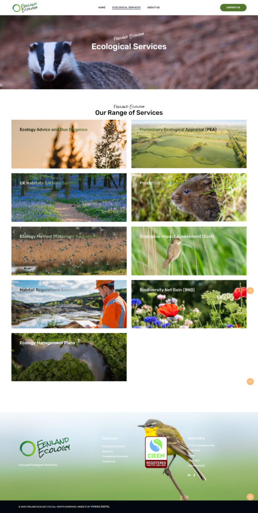 The Rise of Nature Inspired Web Design by Vimana Digital